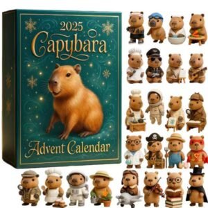 Advent Calendar Arrival Calendar Blind Box Christmas Gift